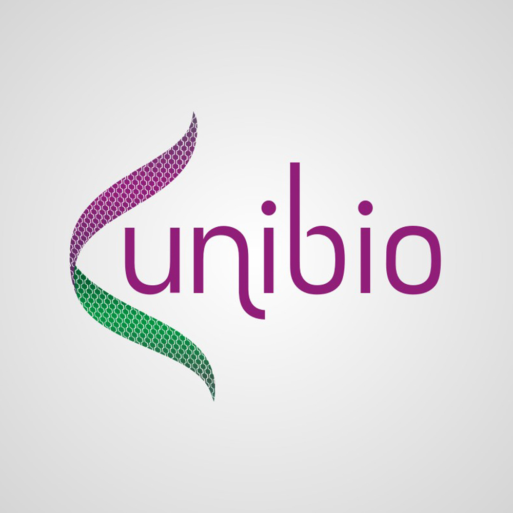 Brand Identity 1